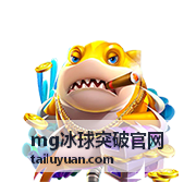 mg冰球突破官网冰球装备参数与护具资料