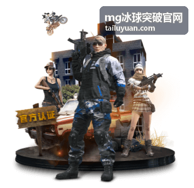mg冰球突破官网冰上训练与场馆信息资料