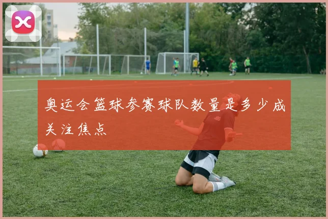 奥运会篮球参赛球队数量是多少成关注焦点